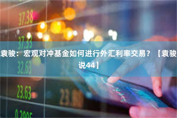 袁骏：宏观对冲基金如何进行外汇利率交易？【袁骏说44】