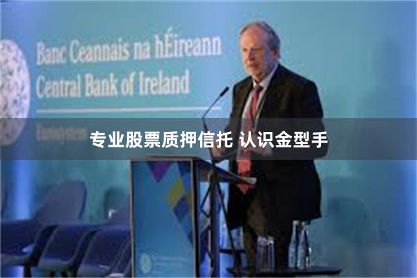 专业股票质押信托 认识金型手