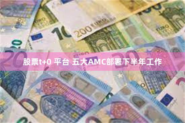 股票t+0 平台 五大AMC部署下半年工作
