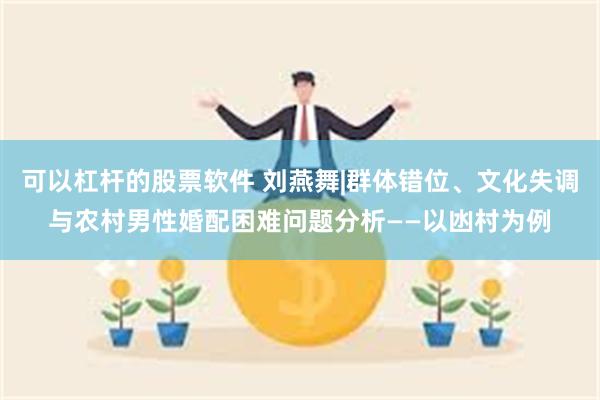 可以杠杆的股票软件 刘燕舞|群体错位、文化失调与农村男性婚配困难问题分析——以凼村为例