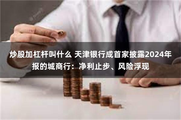 炒股加杠杆叫什么 天津银行成首家披露2024年报的城商行：净利止步、风险浮现