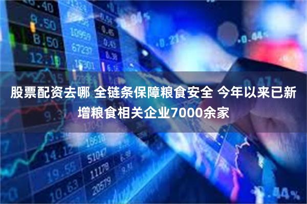 股票配资去哪 全链条保障粮食安全 今年以来已新增粮食相关企业7000余家
