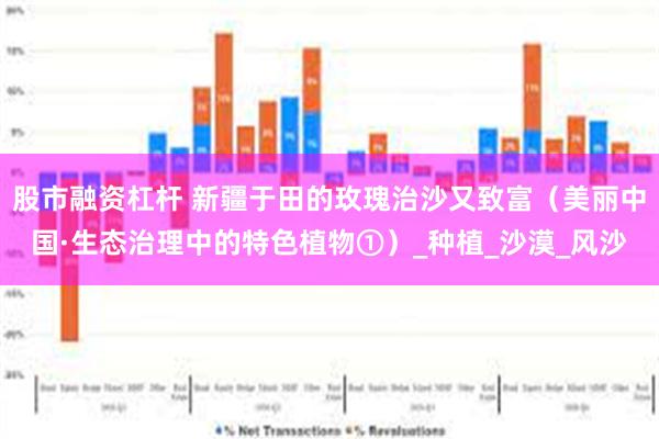 股市融资杠杆 新疆于田的玫瑰治沙又致富（美丽中国·生态治理中的特色植物①）_种植_沙漠_风沙