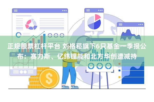 正规股票杠杆平台 刘格菘旗下6只基金一季报公布：赛力斯、亿纬锂能和北方华创遭减持