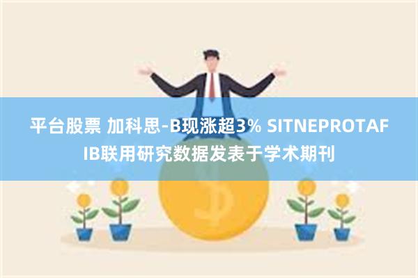 平台股票 加科思-B现涨超3% SITNEPROTAFIB联用研究数据发表于学术期刊