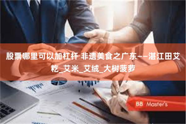 股票哪里可以加杠杆 非遗美食之广东——湛江田艾籺_艾米_艾绒_大树菠萝