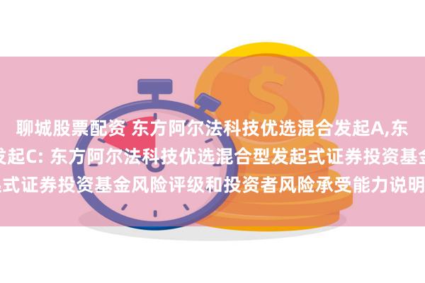 聊城股票配资 东方阿尔法科技优选混合发起A,东方阿尔法科技优选混合发起C: 东方阿尔法科技优选混合型发起式证券投资基金风险评级和投资者风险承受能力说明(2025年5月)