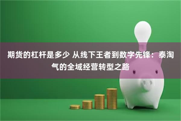 期货的杠杆是多少 从线下王者到数字先锋：泰淘气的全域经营转型之路