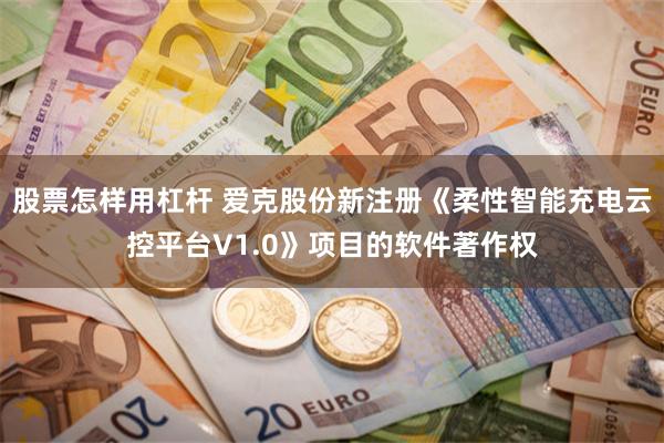 股票怎样用杠杆 爱克股份新注册《柔性智能充电云控平台V1.0》项目的软件著作权