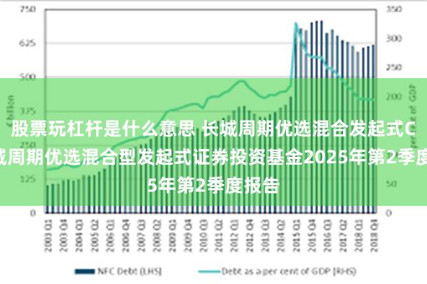股票玩杠杆是什么意思 长城周期优选混合发起式C: 长城周期优选混合型发起式证券投资基金2025年第2季度报告