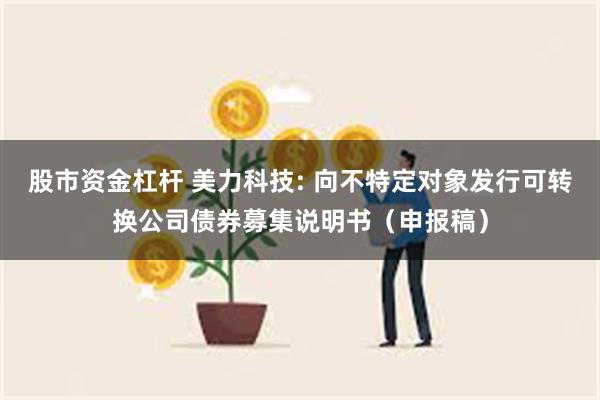 股市资金杠杆 美力科技: 向不特定对象发行可转换公司债券募集说明书(申报稿)