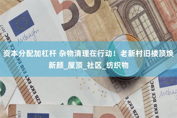 资本分配加杠杆 杂物清理在行动！老新村旧楼顶焕新颜_屋顶_社区_纺织物