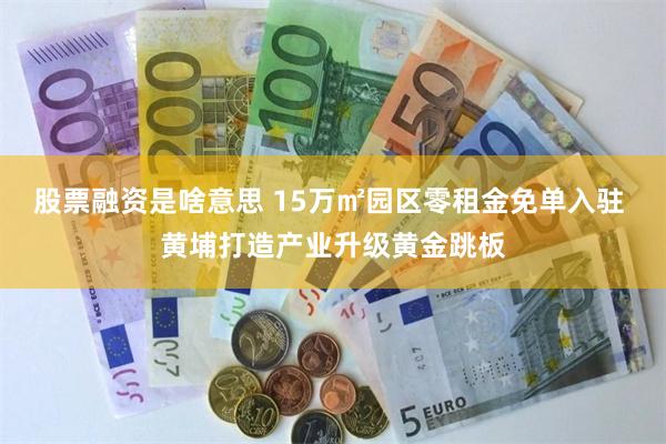 股票融资是啥意思 15万㎡园区零租金免单入驻 黄埔打造产业升级黄金跳板
