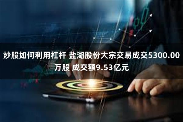 炒股如何利用杠杆 盐湖股份大宗交易成交5300.00万股 成交额9.53亿元