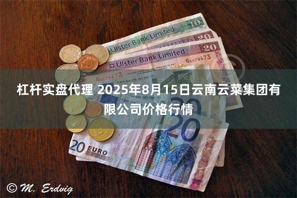 杠杆实盘代理 2025年8月15日云南云菜集团有限公司价格行情