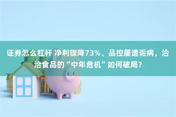 证券怎么杠杆 净利骤降73%、品控屡遭诟病,洽洽食品的“中年危机”如何破局?